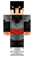 Zerohydreigon minecraft skin