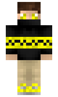 dihn minecraft skin