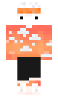 FleYderMC minecraft skin