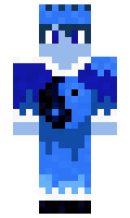 WinterStars minecraft skin