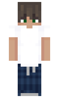 4Fn minecraft skin
