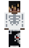 Fl3csy minecraft skin