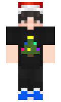 frustratedcat minecraft skin