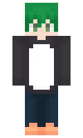 woods235 minecraft skin