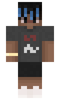 iiperks minecraft skin
