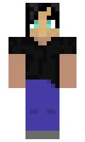 Gamerjunki minecraft skin