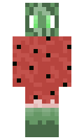 Aid12 minecraft skin