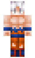 RasmusSR minecraft skin