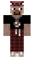 Redmetha minecraft skin