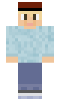 tomiauns minecraft skin