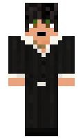 bznshee minecraft skin