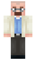 pog3309 minecraft skin