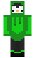 robertnasa minecraft skin