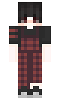 dl1 minecraft skin
