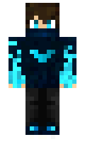 steue minecraft skin