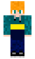 loz111 minecraft skin