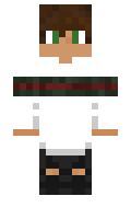 NSavageBeast minecraft skin