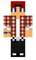 snia minecraft skin