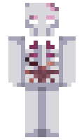 evaganzell minecraft skin