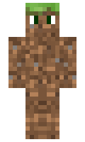 popon minecraft skin