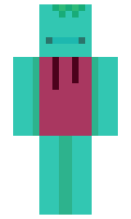 PolarEnchants minecraft skin