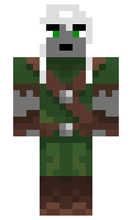 1nd1 minecraft skin