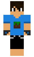 3d520113620660 minecraft skin