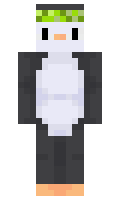 3d58d6943648af minecraft skin