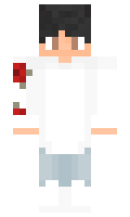 3d6adfa0de51ce minecraft skin