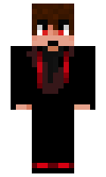 coded minecraft skin