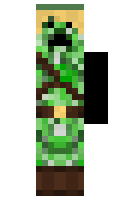 bober minecraft skin