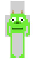 ItsLit111 minecraft skin