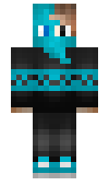 tomthegamer150 minecraft skin