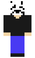 TheoryReplayZ minecraft skin