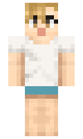 virusll minecraft skin