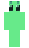 onesmallclown minecraft skin