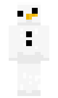 Duckyd135 minecraft skin