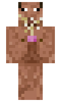 HomerStockholm minecraft skin