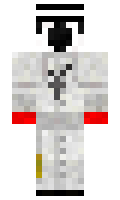 PayTheParrot minecraft skin
