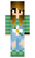 3e66165b642627 minecraft skin