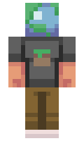 3e91f61f980d24 minecraft skin