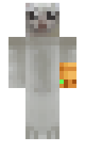 3e9e8e23630095 minecraft skin