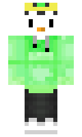 WarmerPenguin minecraft skin