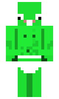 soliterri minecraft skin