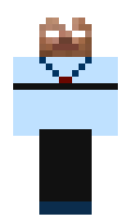 Wildkatze24 minecraft skin