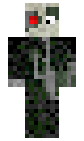 3ede1bdc79571f minecraft skin