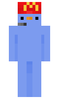 NillsiS minecraft skin