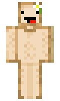 luko531441 minecraft skin