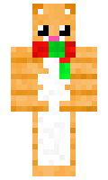 Fraccu minecraft skin