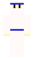 TheGOOSE minecraft skin